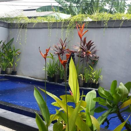 Star Bali Guest House Canggu  Exterior photo